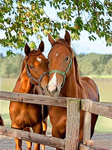 Sugamm DIY Diamond Painting Horse Tree Komplett Kits, 5D Stickerei, Diamant-Malerei, Tierpflanze, komplettes Set, Kreuzstich, Strass, Stickerei, Diamant, Kunsthandwerk für Zuhause, Wanddekoration, 30