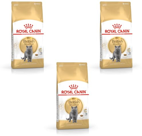 Royal Canin British Shorthair Adult | 3er Pack | 3 x 400 g | Alleinfuttermittel für British Shorthair Katzen | Speziell für Britisch Kurzhaar Katzen entwickelt | Ab dem 12. Monat