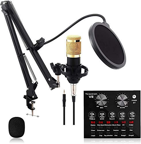 RUHEN V8 Condenser Microphone Bundle BM-800,Stereo Sound Card,Voice Transformer,Sound Mixer Board with Multiple Sound Effects for Music Recording Karaoke Singing Broadcast on Cell Phone Computer