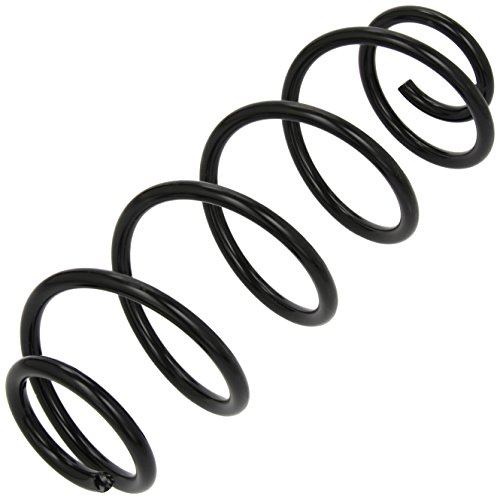 lesjofers 4215605 Coil Spring Rear