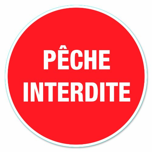 Chapuis DS201 PVC-Scheibe, selbstklebend, Durchmesser 280 mm, kein Angeln
