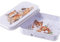Wrendale Designs - 'The Afternoon Nap' Mini Tin