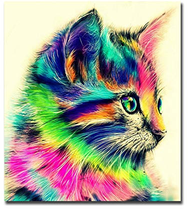 Leinwand Kunst Bild Bunte Katze Tier Poster Druck Leinwand Gemälde Für Kinder Wohnzimmer Wandkunst Bilder Fotodrucke-60x70cm Kein Rahmen