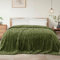 Exclusivo Mezcla Kuscheldecke Flauschig Fleecedecke Flanell Decke, Leichte und Warme Wohndecke Tagesdecke für Ganzjahreszeit, 220 x 240 cm Olivgrün