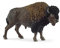Schleich Wild Life - 13cm North American Bison Figurine. Realistic, Big, Hand-Painted Hard Animal Toys for Boys and Girls. Durable Educational Buffalo Action Figure for Kids and Toddlers Ages 3+ 14879