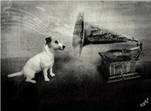 1art1 Hunde His Master's Voice, Jack Russell Terrier Poster-Sticker Tattoo Aufkleber 9x9 cm