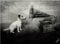 1art1 Hunde His Master's Voice, Jack Russell Terrier Poster-Sticker Tattoo Aufkleber 9x9 cm