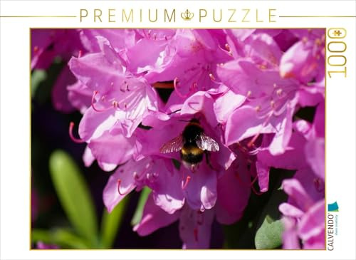 CALVENDO Puzzle Hummel in rosa Rhododendron Blüte | 1000 Teile Lege-Größe 64 x 48 cm Foto-Puzzle für glückliche Stunden