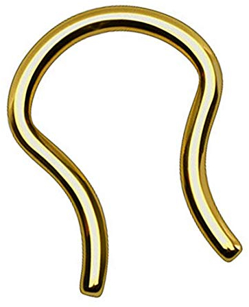 Taffstyle Piercing Fake Ring Retainer Hufeisen Septum Tragus Helix Nase Lippe Ohr Clip Nasenring Nasenpiercing Horseshoe Ohrpiercing Gold 2,0mm