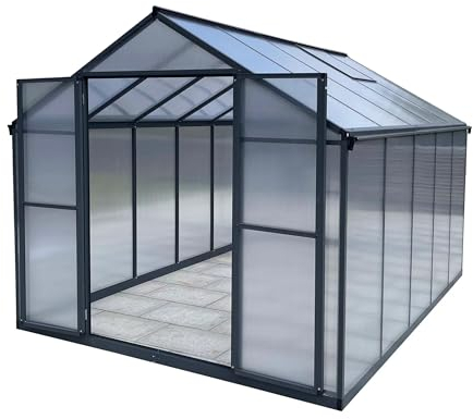 Serre de jardin en aluminium de 7,33 m² avec fondation de 238 x 301 cm - Double porte polyvalente comme serre, serre de semis précoce, serre à tomates et maison de plantes