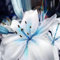 Lilium martagon zwiebeln,winterharte,lilien deko,lilien im topf,lilie riesen,lilien zwiebeln forever susan,lilie,duft lilien,lilien knollen,lilien zwiebeln winterhart mehrjährig.-10 zwiebeln-C