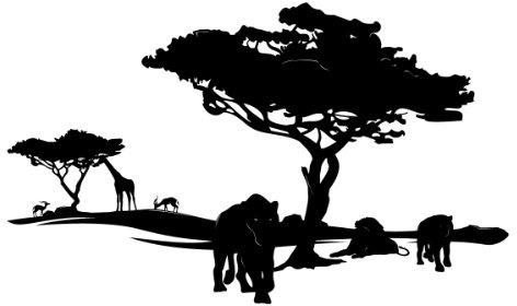 PrimeStick Wandtattoo Wandaufkleber Afrika Wüste Löwen #86a schwarz 100x 60 cm