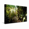 Premium Textil-Leinwand 45 x 30 cm Quer-Format Sonnenstrahlen im Urwald Costa Rica | Wandbild, HD-Bild auf Keilrahmen, Fertigbild auf hochwertigem Vlies, Leinwanddruck von Peter Schickert