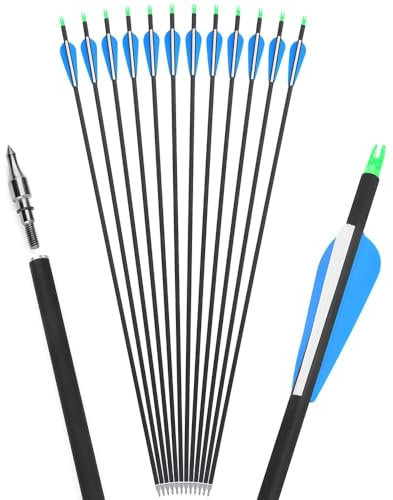 wolfman 32 Zoll Carbonpfeile für Bogenschießen Spine 500 Carbon Pfeile Carbon Jagdpfeile mit 3 Zoll Plastikfeder Carbon Arrows für Pfeil Bogen Recurvebogen Compoundbogen (6P, blau)