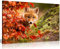 Panther Print Fine Art Prints Kunstdruck auf Leinwand, Motiv Baby Fuchs in Wildtier, gerahmt, Bilder für Zuhause, Wände, Schlafzimmer, Wohnzimmer und Badezimmer, 31 x 20 cm