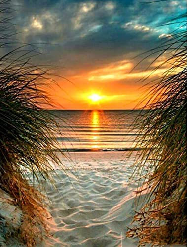 SYMON Kreuzstich Set Vorgedruckt,Sonnenuntergang am Meer,11 CT Kreuzstich Stickpackungen,Stickbilder Vorgedruckt Kreuzstich für Wandkunst-Heimdekoration 40 × 50cm