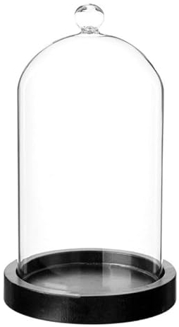 Atmosphera Créateur d'intérieur - Cloche Décorative en Verre Dara 19cm Transparent