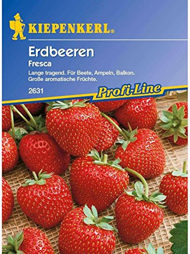 Kiepenkerl
