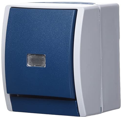Busch-Jaeger 2621 W-53-206 Wipptaster Wechsler (Thermoplast) Grau ocean® (IP 44) 2CKA001484A0054