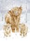 Wrendale Designs Adventskalender A Highland Christmas