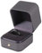 EBTOOLS Smart Ring Zubehör Smart Wearable Device Smart Ring Kohlefaser Auto Smart Finger Schlüsselring mit Box Fit für Modell 3 / X/S/Y das Ganze Jahr(10)