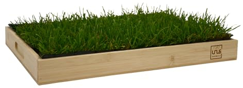 UNUS Katzengras inklusive Holztablett 40x30cm Bambus fertig gewachsen echtes Gras Katzenwiese für drinnen und draußen
