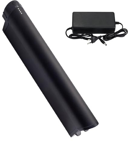 Ebike Akku 48V 11Ah Ersatz für Zündapp Z808 Reention EEL Pro Batterien E-Bike Pedelec Akku mit Ladegerät (48V 11Ah)