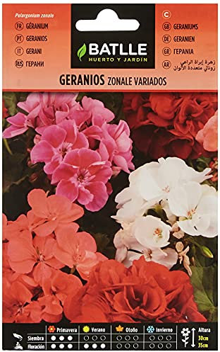 Semillas Batlle Geranios ZONALE Variados