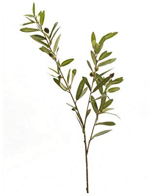 artplants.de Rama de Olivo sintético Parker con Frutos, 80cm - Rama de árbol Artificial - Olivera sintética