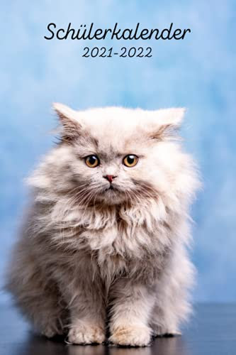 Schülerkalender 2021-2022: Schulplaner 2021 2022 | Ein erfolgreiches Schuljahr planen und optimieren | grundschule , gymnasium , universität , oberstufe , .. | schulsachen.