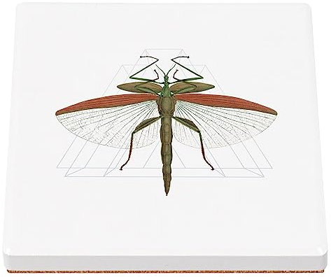 sous Verre en céramique - Vintage Insecte Botanique Collage Nature Illustration Géometrie - 1 unité (100 x 100 mm)