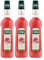 Mathieu Teisseire Getränke-Sirup Rose 0,7L - Cocktails (3er Pack)