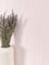NEWROOM Papier peint Rose Couleur Unie Intissé - Moderne Rosier Structure Bandes Couleur Unie