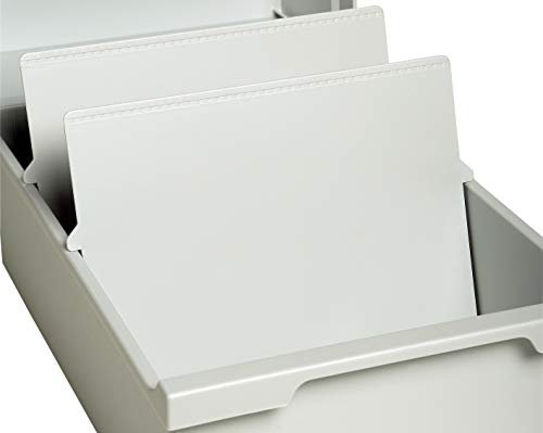Exacompta 54240D 2er Pack Trennplatten für Karteikassetten und Karteikästen DIN A6 quer lichtgrau zb. für Karteitrog 51240D, 52240D, 56240D, 57240D Blauer Engel Karteikasten