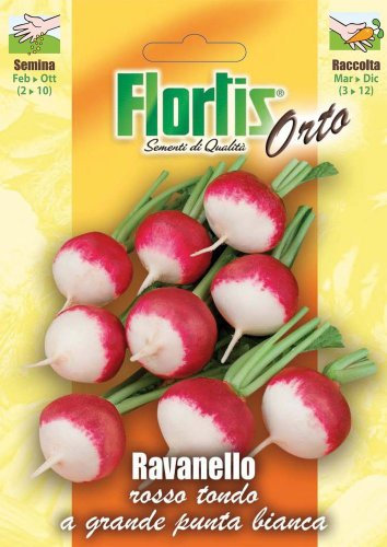 Flortis 4355325 Radies Rosso Tondo (Radieschensamen)