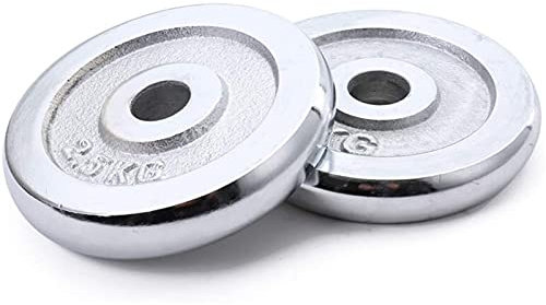 MQQ Bumper Plates， 28mm/1inch Aperture Fitness Standard Plate Electroplated Olympic Bumper Weight Plates Barbell Dumbbell Plates Men's Gym Weight Lifting Plate Non-slip (Color : 5kg*2)