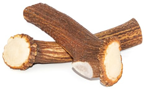 Larsson | Geweih für Hunde, Kauknochen Hund, Kaustange, natürliches Produkt, hochwertiges Kauspielzeug Hund aus Rothirschgeweih, Größe XL, 2er-Set (2x160-250g)