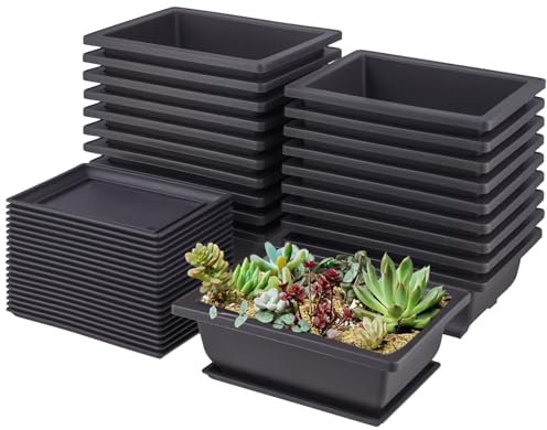 SENJEOK 20PCS Bonsai Training Pots and Tray, 16.5 x 12 x 6cm Plastic Rectangle Bonsai Plants Pot for Indoor Outdoor Garden Yard