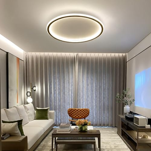 Mikeru 60cm LED Rund Deckenleuchte Dimmbare, Zeitgenössische Deckenleuchten 3000K/4500K/6500K 3 Farben Deckenlampe Kreise Küchen Deckenleuchte mit Fernbedienung 10% bis 100% für Garage, Wohnzimmer