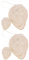 FOMIYES 4stücke Natürliche Walnuss-schwämme Waschbare Gesichtsreiniger Sanfte Peeling-schwämme Für Tägliche Gesichtsreinigung Und Make-up-entfernung Hautfreundlich Und Praktisch Für
