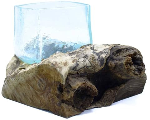 Ancient Wisdom Exquisites mundgeblasenes geschmolzenes rissiges Glasbecken auf Gamalwurzelholz – authentische Bali-Kunstfertigkeit, einzigartige Heimdekoration, von Natur inspiriertes Design,
