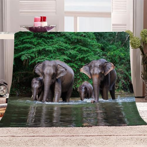 Tizhweqo Kuscheldecke Flauschig 100x150 cm Elefant Flanell Fleecedecke 3D Elefant Wohndecke 150x100 cm Weich Wohndecken Kuscheldecken Sofadecke Couch Blanket Warme Decke 7246p