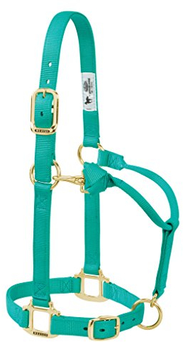 Weaver Leather Original verstellbares Nylon-Pferdehalfter, durchschnittliches Pferd, smaragdgrün