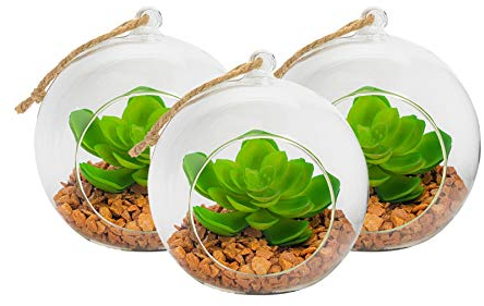 Nicola Spring Pflanzenterrarien aus Glas - Set für Sukkulenten, Farne und Kakteen - zum Hinstellen oder Aufhängen - 120 mm - 3er-Set