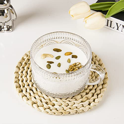 Eden & Willow Embossed Glass Drinking Tea and Coffee Cups for Hot and Cold Drinks with Handle, 325ml (1 Piece)