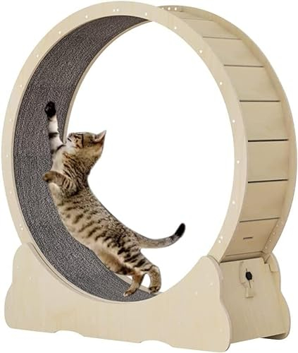 Laufrad Für Katzen,Laufrad aus Holz,Extremer Laufrad-Trainingstrainer Für Katzen Zum Trainieren,Klettergerüst Für Katzen,Kitty Cat Sportspielzeug,Beige-L