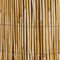 Windhager 06523 Canisse Roseau Naturel Beige 1 x 5 m