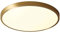 DLGGO LED Ceiling Light, Brushed Gold Bathroom Lights Ceiling 12W, Flush Mount Ceiling Lamp, 6000K White Ø9.05”,Round Ceiling Lights Fitting for Bathroom Bedroom Kitchen Hallway Office Living Room