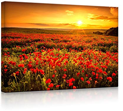 lightbox multicolor | Beleuchtete Bilder | Mohnblütenfeld bei traumhaftem Sonnenuntergang | 100x70 cm | Fully Lighted