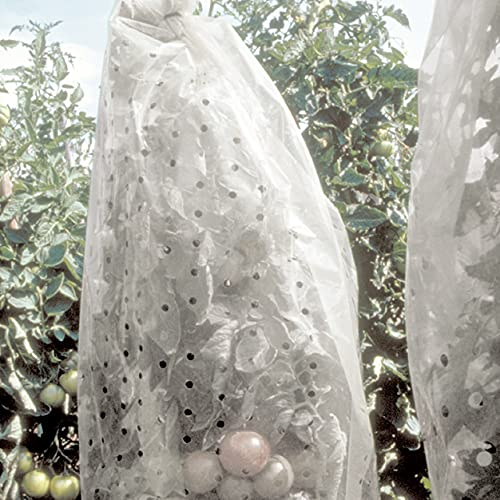 Novatool 1x Tomatenreifeschutz gelocht I 65 x 10 m | Tomatenfolien Tomatenhaube Tomatenschirm | Schutz Tomatenabdeckungen